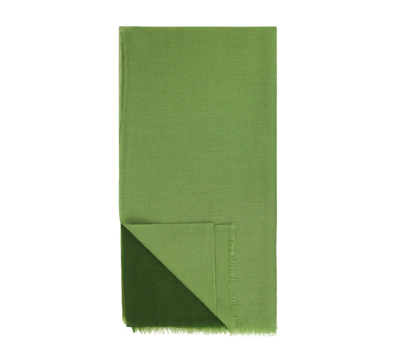 Degradia Gauze Cashmere Shawl Pashmina & Scarves Green 