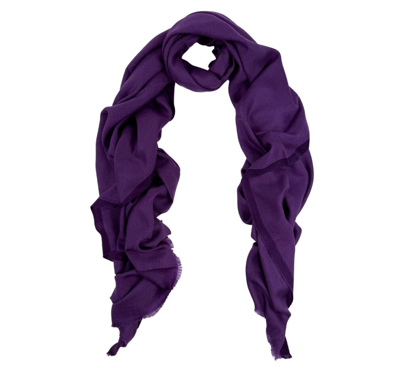 Fine Cashmere Border Stole Pashmina & Scarves 