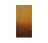 Paco Shawl Pashmina & Scarves Camel 