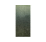 Paco Shawl Pashmina & Scarves Green 