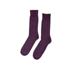 Plain Alpaca Socks Textiles Purple 