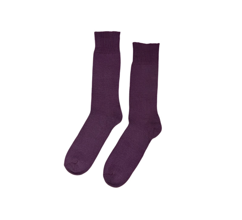 Plain Alpaca Socks Textiles Purple 