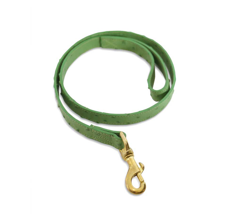 Dog Lead - Pickett London