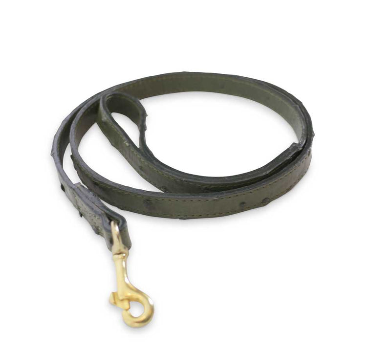 Dog Lead - Pickett London