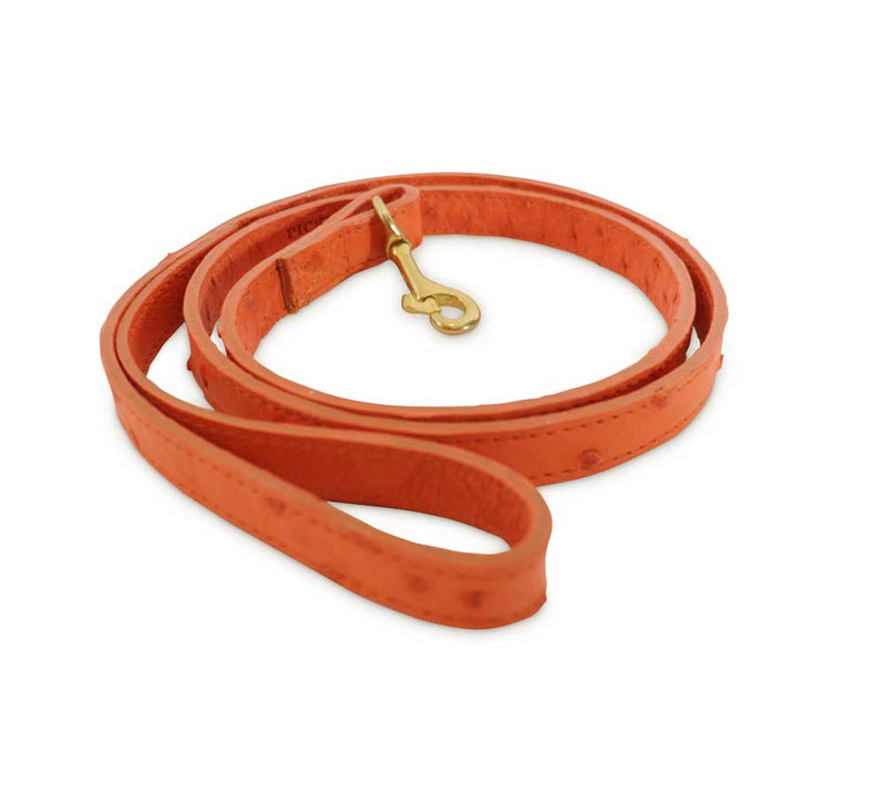 Dog Lead - Pickett London