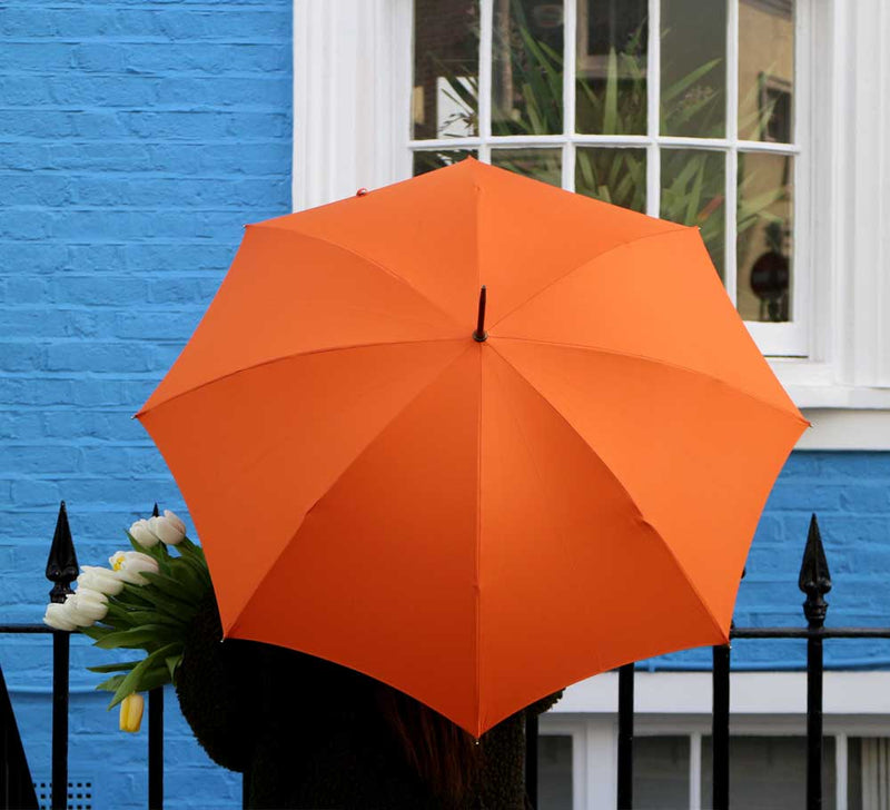 Ladies Slim Whangee Handle Umbrella - Pickett London
